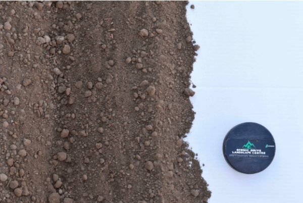 Standard Top Soil