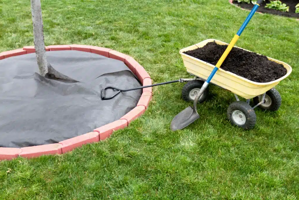 Wheel barrow full of soil