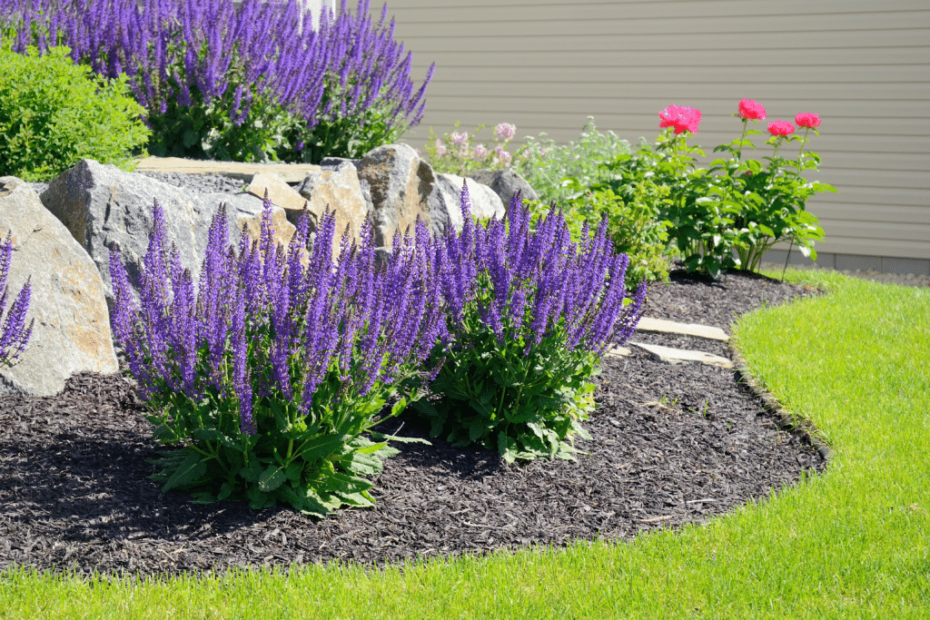 heat tolerant landscaping like lavender, mulch, and hardscaping